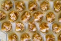 Raw homemade dumplings. Chicken meat with spices on the dough. The process of making dumplings Royalty Free Stock Photo