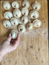 Raw homemade dumplings with minced meat on wooden board on table, sprinkled with flour. Close up view of traditional Russian Royalty Free Stock Photo