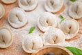 Raw raw homemade dumplings with seasonings on the kitchen table Royalty Free Stock Photo