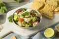 Raw Homemade Shrimp Ceviche Royalty Free Stock Photo