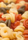 Raw homemade tricolore trottole pasta close up