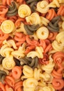 Raw homemade tricolore trottole pasta close up