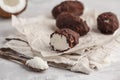 Raw homemade vegan chocolate coconut candy bounty, white backgro