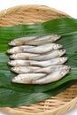 Raw honmoroko, japanese willow gudgeon Royalty Free Stock Photo