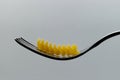 Raw Italian Pasta on a silver fork isolated on white background Royalty Free Stock Photo