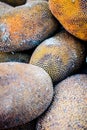 Raw Jackfruit or kathal or jak or Artocarpus heterophyllus in the market with its yellow colored inner portion. Royalty Free Stock Photo