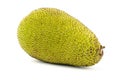 Raw jackfruit Royalty Free Stock Photo