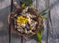 Raw jerusalem artichoke. Topinambur vegetable root on wooden table Royalty Free Stock Photo