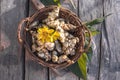 Raw jerusalem artichoke. Topinambur vegetable root on wooden table Royalty Free Stock Photo