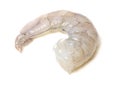 Raw Jumbo Shrimp Royalty Free Stock Photo