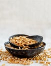 Raw Kamut grain in a metal bowls