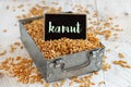 Raw Kamut grain in a metal box