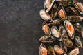 Raw kiwi mussels on slate stone background. Seafood, Shellfish, top view, flat lay, macro Royalty Free Stock Photo