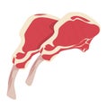Raw lamb chop vector isolated. Uncooked meat