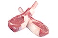 Raw Lamb Chops Royalty Free Stock Photo