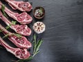 Raw lamb chops with garlic and herbs. Royalty Free Stock Photo