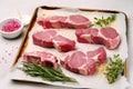 raw lamb chops with grill marks ready to be seasoned on a pink marble slab Royalty Free Stock Photo