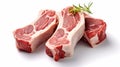 Raw lamb chops isolated on white background Royalty Free Stock Photo