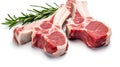 Raw lamb chops isolated on white background Royalty Free Stock Photo