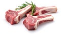 Raw lamb chops isolated on white background Royalty Free Stock Photo