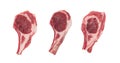 Raw Lamb Chops, Mutton Cuts or Sheep Ribs Isolated Royalty Free Stock Photo