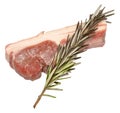 Raw Lamb Cutlet With Rosemary Herb Royalty Free Stock Photo