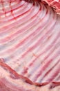 Raw lamb meat Royalty Free Stock Photo