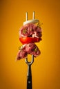 Raw lamb meat with spices and vegetables on a fork. Picnic barbecue cooking concept