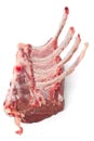 Raw Lamb Ribs Isolated Royalty Free Stock Photo