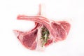 Raw lamb ribs Royalty Free Stock Photo