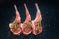raw lamb saddle meat on bone with salt, pepper decorated rosemary top view on black Royalty Free Stock Photo