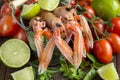 Raw langoustine in a bucket with vegetables Royalty Free Stock Photo