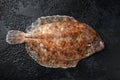 Raw lemon sole fish on black background, top view Royalty Free Stock Photo