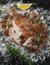 Raw lemon sole fish on ice with herbs and lemon wedges Royalty Free Stock Photo