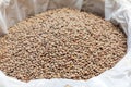 Raw lentils in bulk sale of legumes