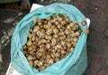 Raw live Snails for sale at a market