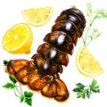 Raw lobster tail with green parsley, dill and lemon, fresh seafood, isolated, hand drawn watercolor illustration on