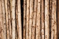 Raw logs wood background