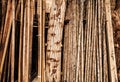 Raw logs wood background