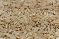 Raw long uncooked brown rice grains background Royalty Free Stock Photo