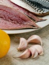 Raw mackerel fillets, Lemon and garlic cloves, Close up. Selective focus on the fish Royalty Free Stock Photo