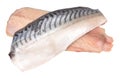 Raw Mackerel Fish Fillets Royalty Free Stock Photo