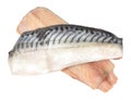 Raw Mackerel Fish Fillets Royalty Free Stock Photo