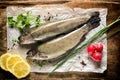 Raw mackerel fish Royalty Free Stock Photo