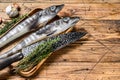 Raw mackerel icefish in a wooden tray. Wooden background. Top view. Copy space Royalty Free Stock Photo