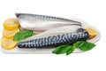 Raw mackerel with lemon and basil on white cutboard isolated on white background