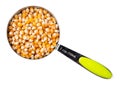 Raw maize corn seeds in measuring cup cutout Royalty Free Stock Photo