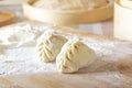 Raw manti, dumplings or wonton from dough with minced meat filling on the kitchen table with flour Royalty Free Stock Photo