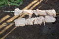 Raw marinated pieces of pork meat are stringed in two skewers. They will be cooked on a grill. Cooking in the summer in the yard Royalty Free Stock Photo