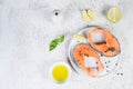 Raw marinated red fish in spices, lime and olive oil in a white plate. Top view, copy space Royalty Free Stock Photo